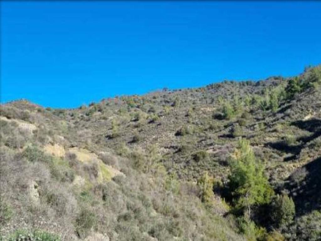 Kalo Chorio, Limassol Agricultural Field For Sale | WW29899