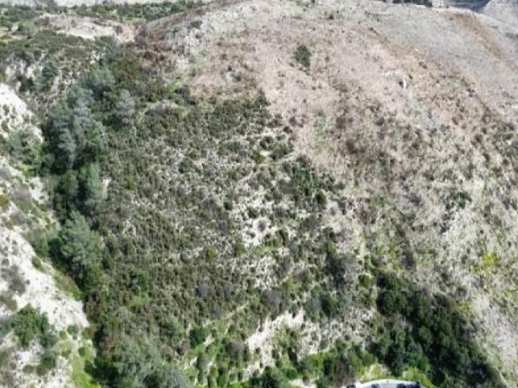 Agricultural Field For Sale  in  Gerasa