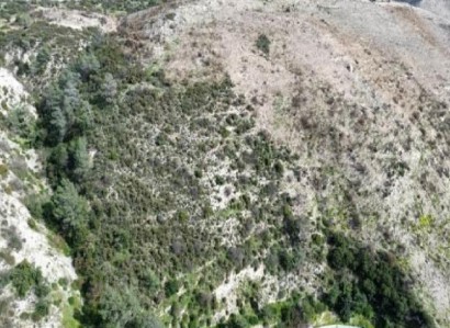 Gerasa, Limassol Agricultural Field For Sale | WW29925