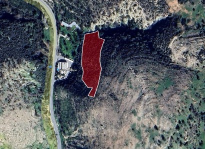Gerasa, Limassol Agricultural Field For Sale | WW29925