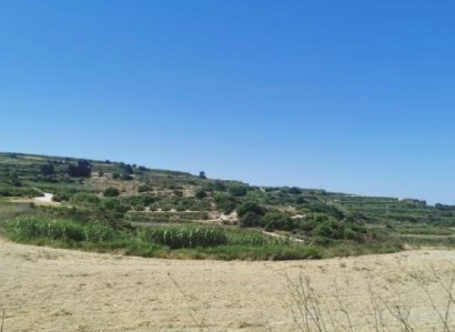 Stroumbi, Paphos Agricultural Field For Sale | WW29933