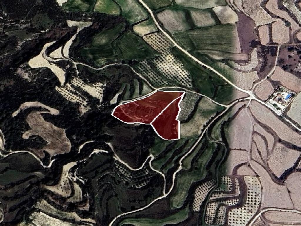Field - Stroumpi, Paphos