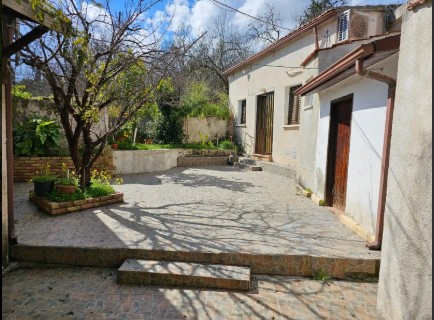 Detached Villa For Sale  in  Letymvou