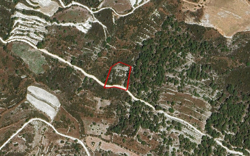 Salamiou, Paphos Agricultural Field For Sale | WW29941