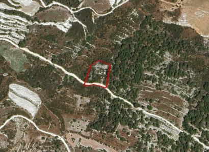 Salamiou, Paphos Agricultural Field For Sale | WW29941