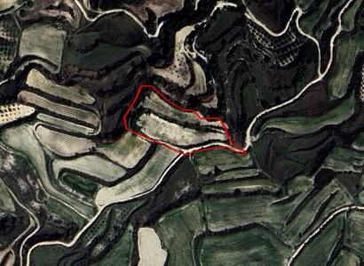 Stroumbi, Paphos Agricultural Field For Sale | WW29942