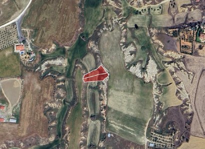 Ergates, Nicosia Agricultural Field For Sale | WW29969