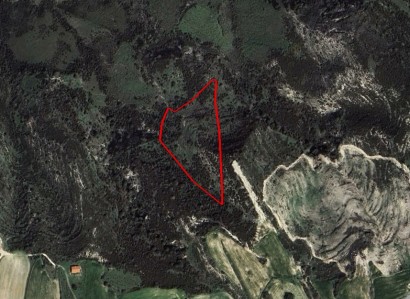 Peyia, Paphos Agricultural Field For Sale | WW29977