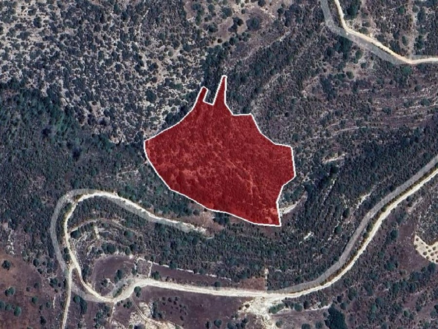 Field - Apsiou, Limassol