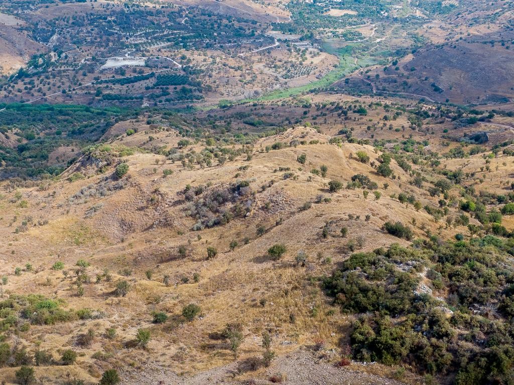Field - Episkopi, Paphos