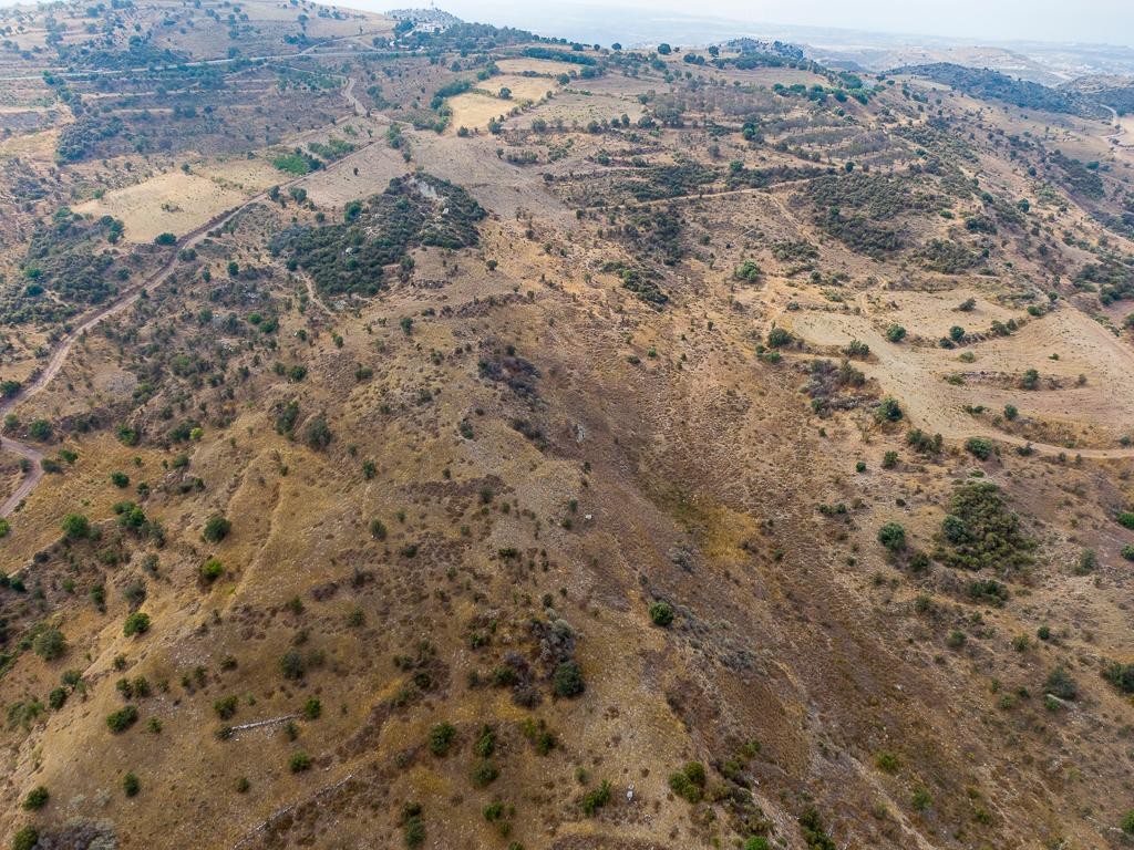 Field - Episkopi, Paphos
