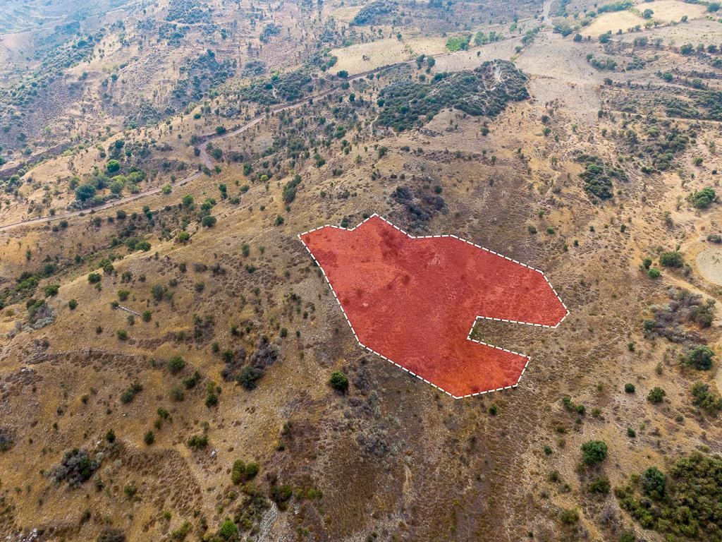 Field - Episkopi, Paphos
