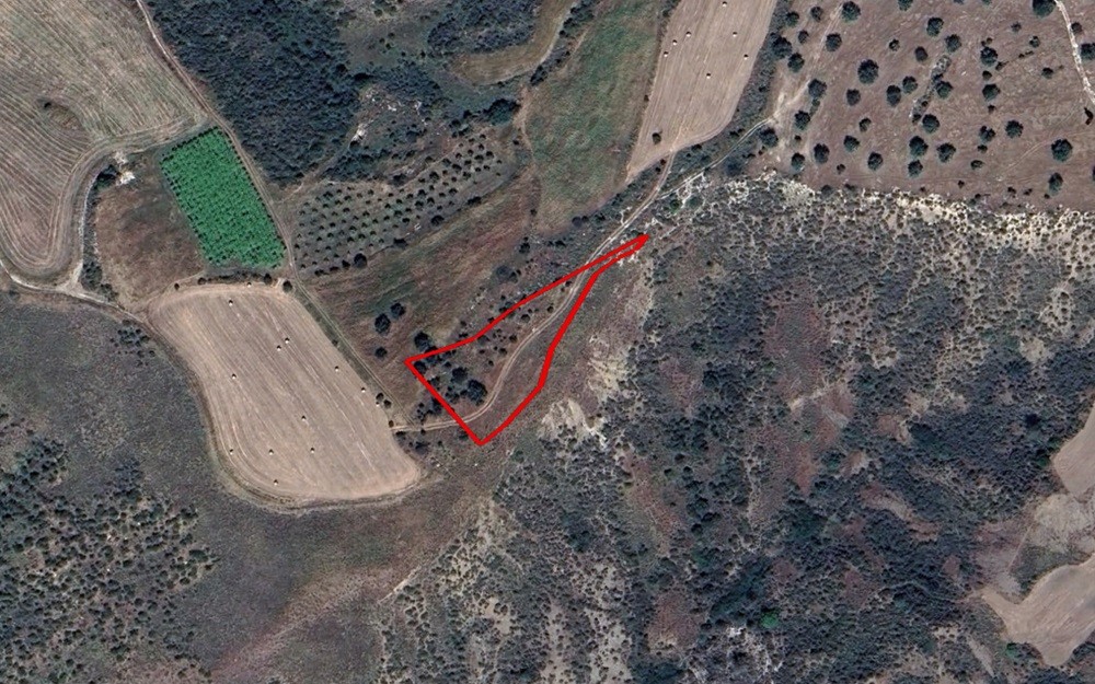 Pelathousa, Paphos Agricultural Field For Sale | WW30024
