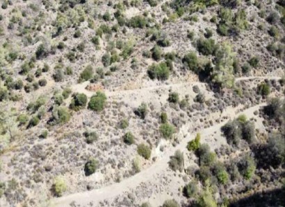 Arakapas, Limassol Agricultural Field For Sale | WW30042