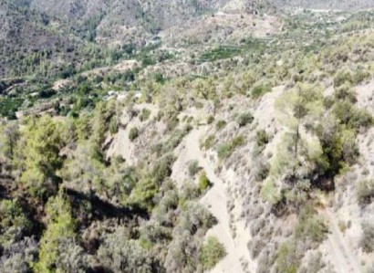 Arakapas, Limassol Agricultural Field For Sale | WW30042