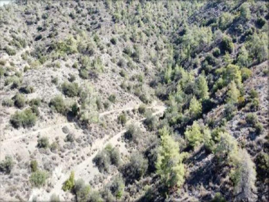 Arakapas, Limassol Agricultural Field For Sale | WW30043