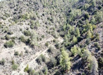 Arakapas, Limassol Agricultural Field For Sale | WW30043