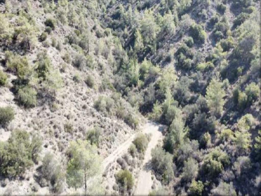 Field - Arakapas, Limassol