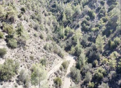 Arakapas, Limassol Agricultural Field For Sale | WW30043