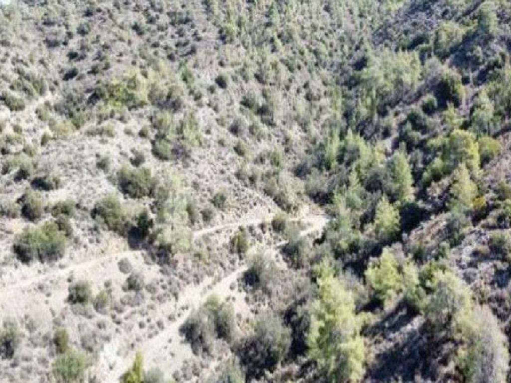 Field - Arakapas, Limassol