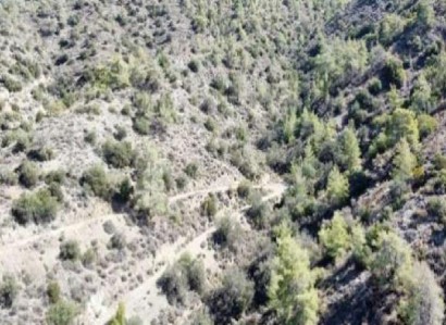 Arakapas, Limassol Agricultural Field For Sale | WW30043