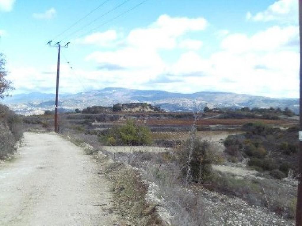 Letymvou, Paphos Agricultural Field For Sale | WW30044