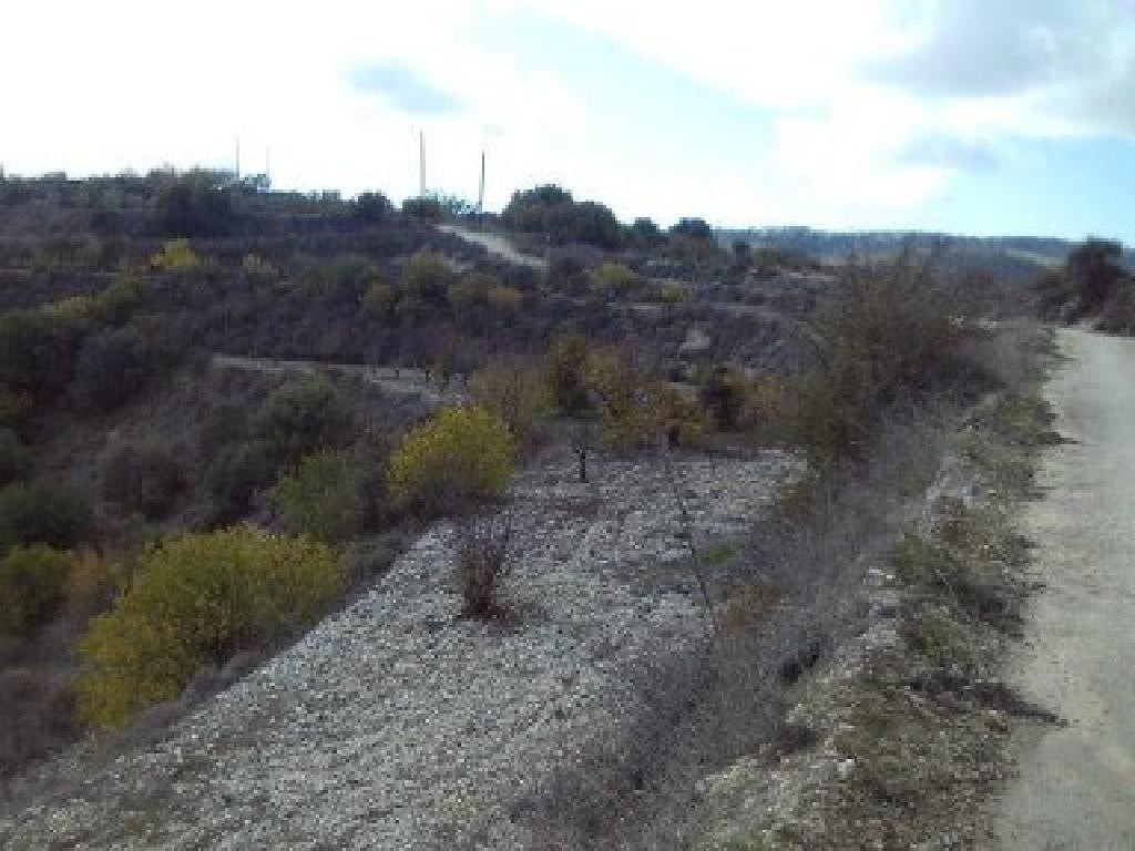 Agricultural Field For Sale  in  Letymvou