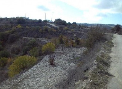 Letymvou, Paphos Agricultural Field For Sale | WW30044
