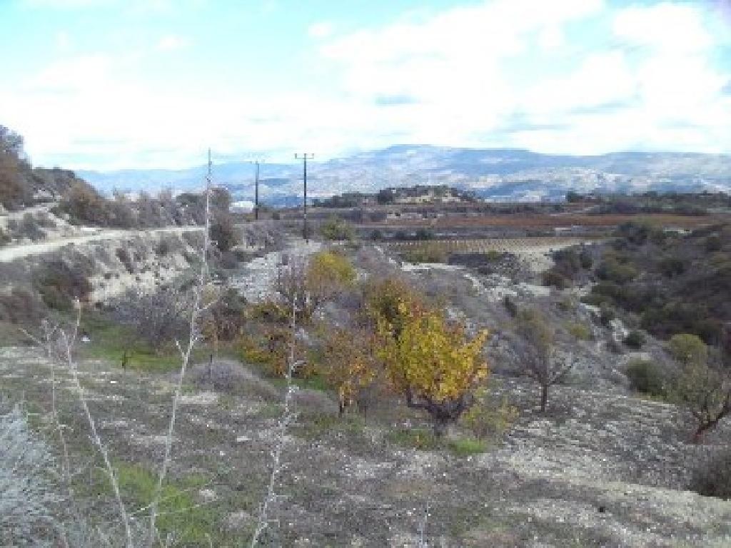 Agricultural Field For Sale  in  Letymvou
