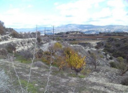 Letymvou, Paphos Agricultural Field For Sale | WW30044