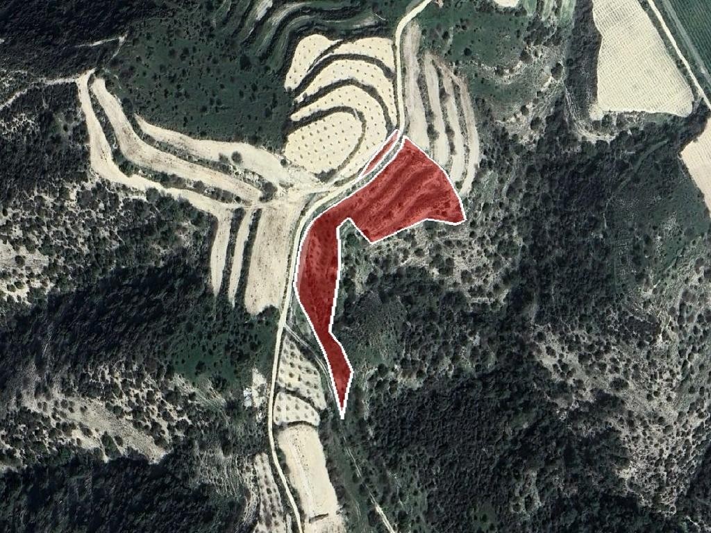 Agricultural Field For Sale  in  Letymvou