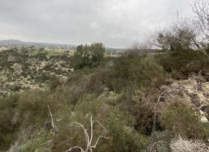 Peyia, Paphos Agricultural Field For Sale | WW30040