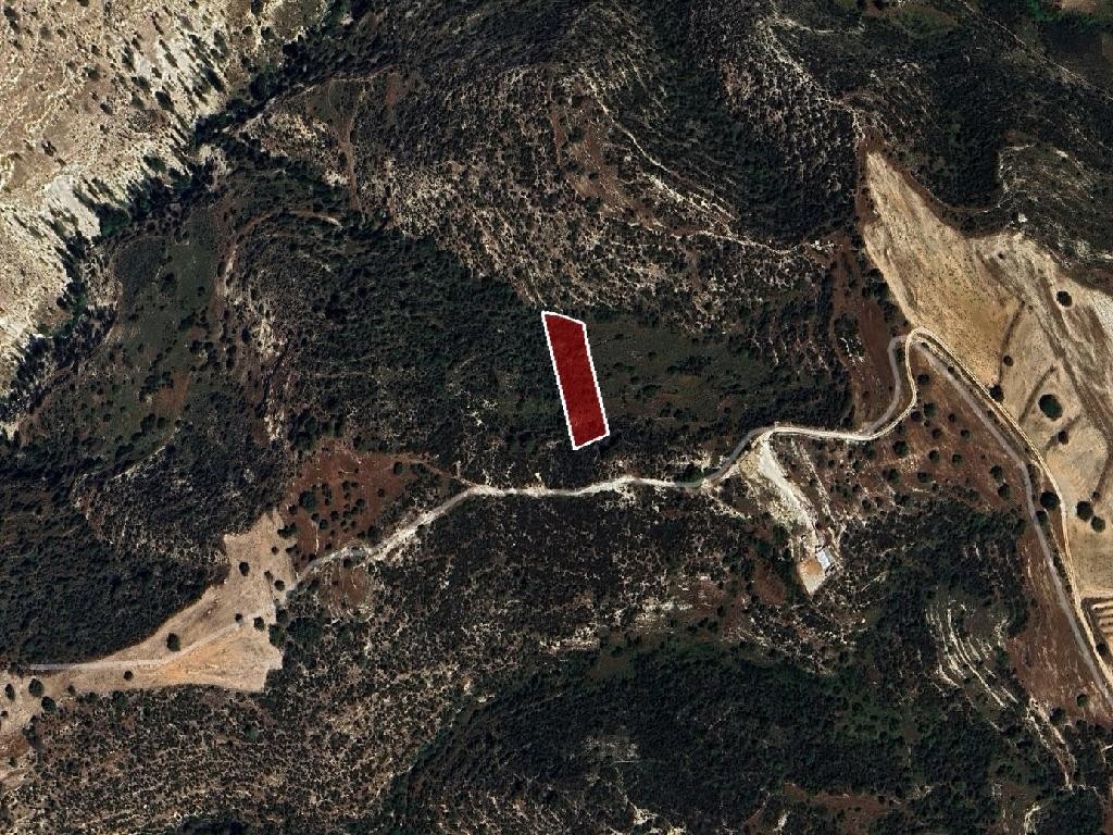 Agricultural Field For Sale  in  Peyia