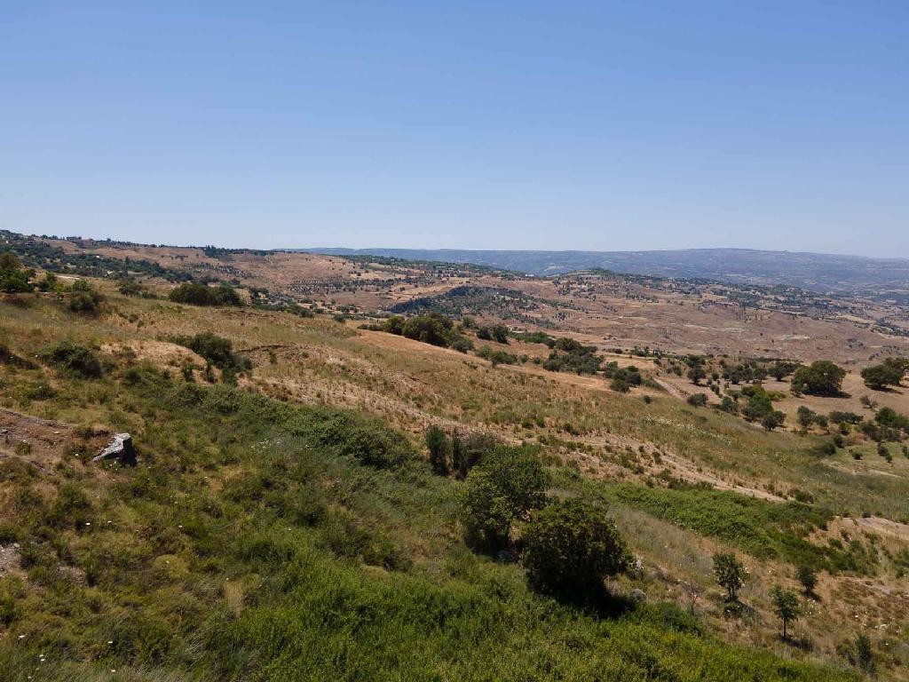 Agricultural Field For Sale  in  Fyti