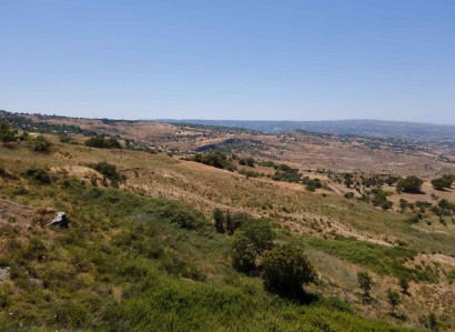 Fyti, Paphos Agricultural Field For Sale | WW30037