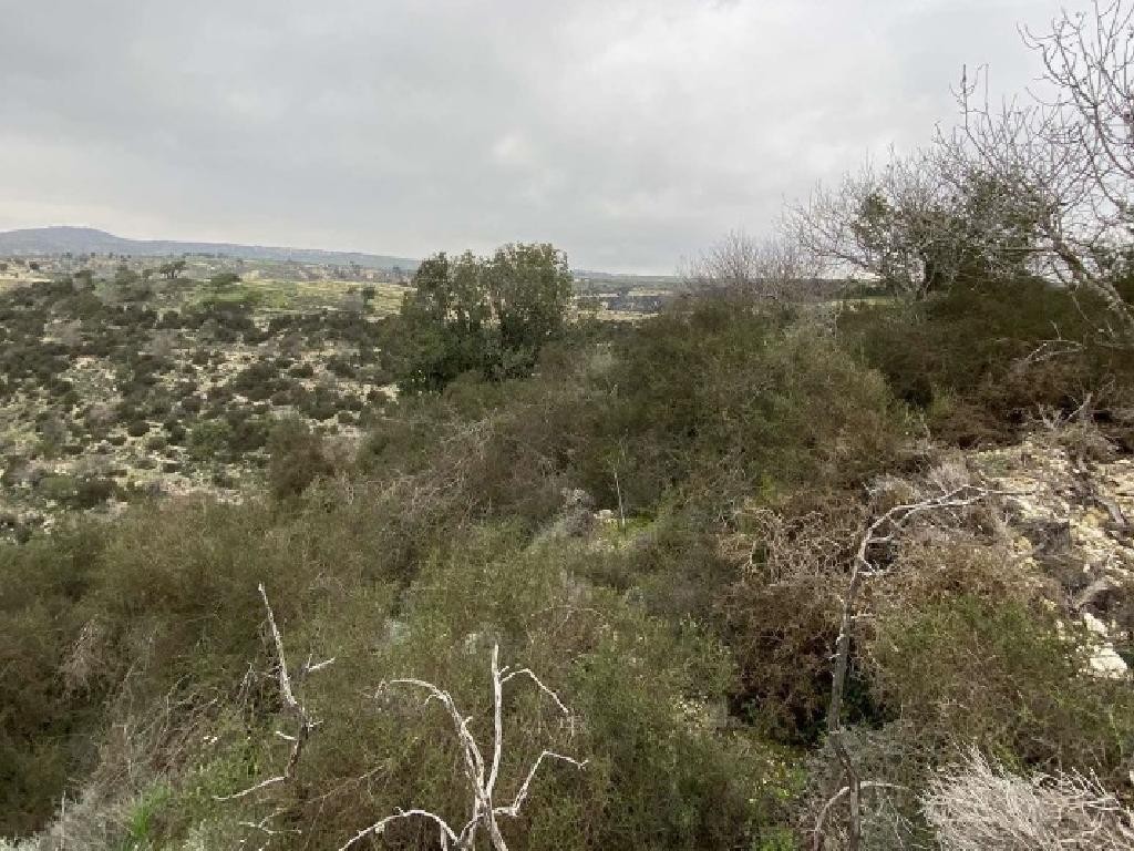 Agricultural Field For Sale  in  Fyti