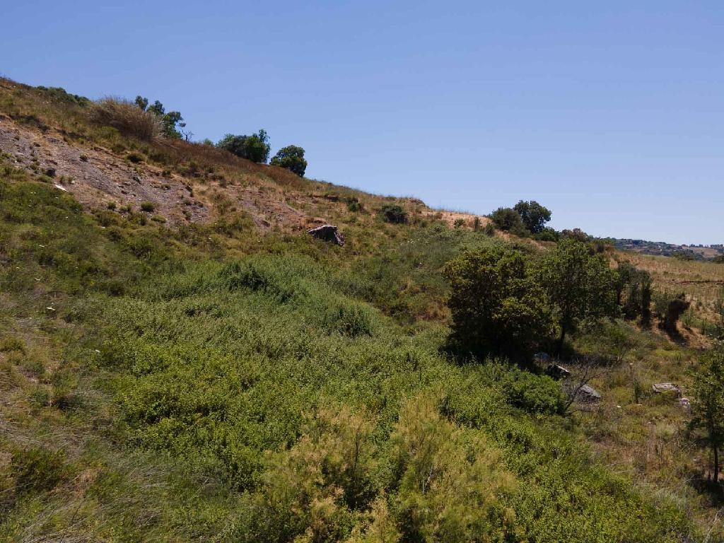 Agricultural Field For Sale  in  Fyti