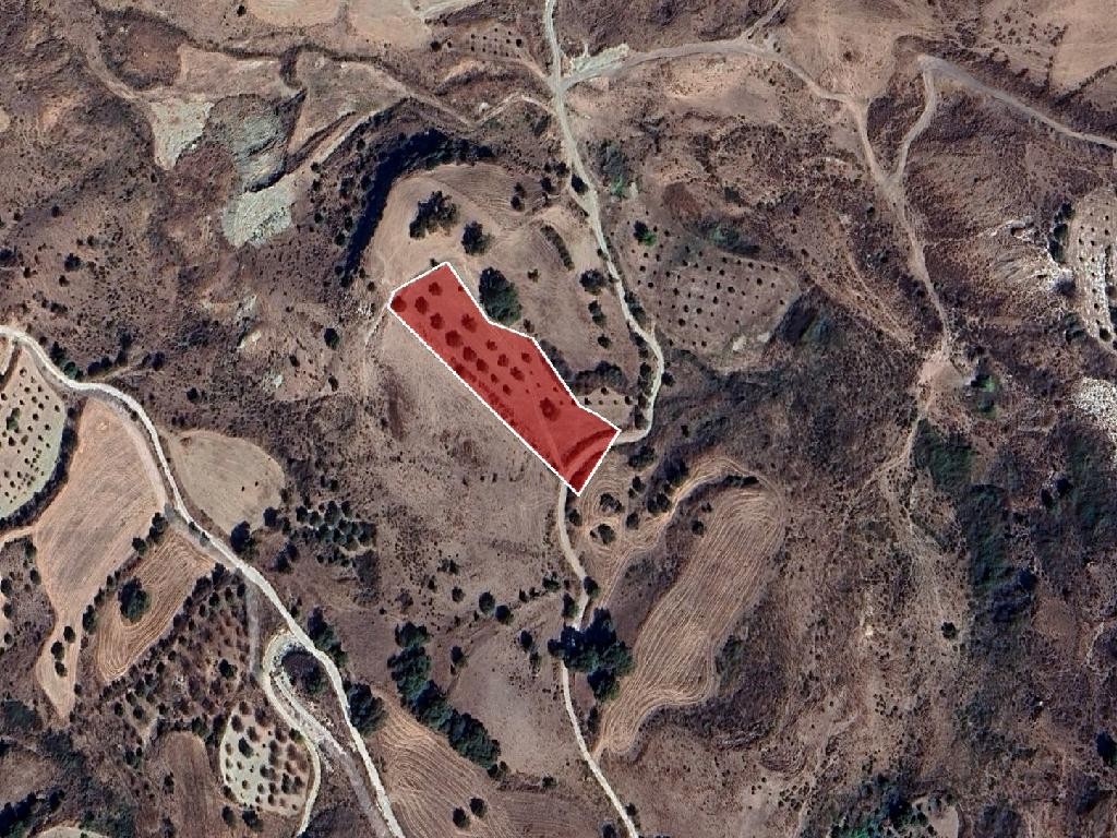 Agricultural Field For Sale  in  Fyti
