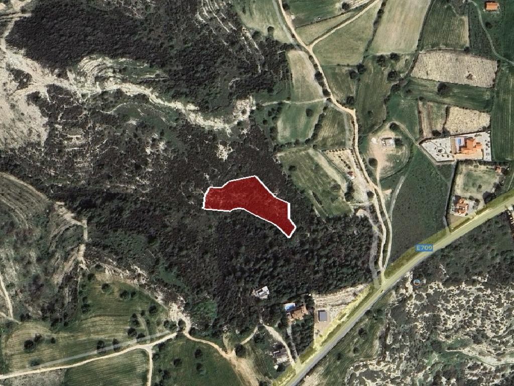 Agricultural Field For Sale  in  Peyia