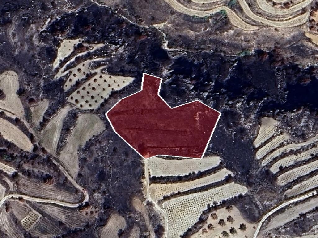 Agricultural Field For Sale  in  Polemi