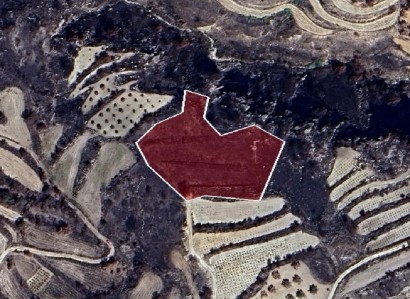 Polemi, Paphos Agricultural Field For Sale | WW30038