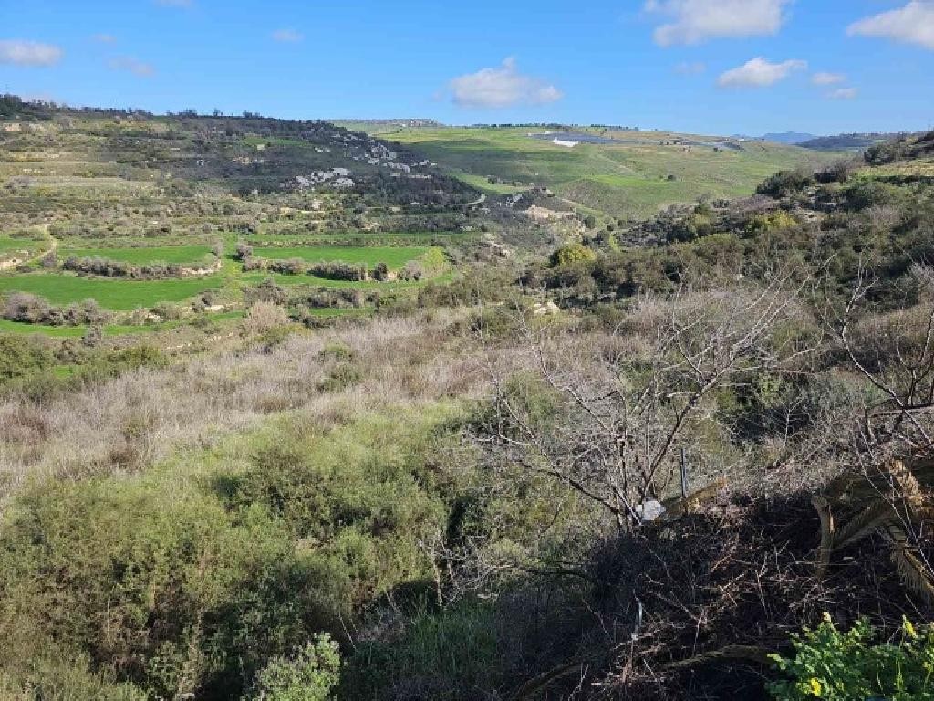Polemi, Paphos Agricultural Field For Sale | WW30038