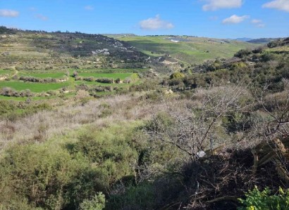 Polemi, Paphos Agricultural Field For Sale | WW30038