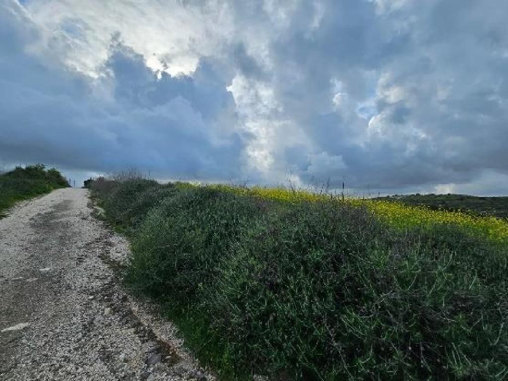 Agricultural Field For Sale  in  Arodes