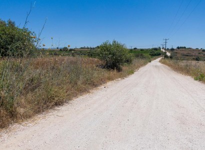 Arodes, Paphos Agricultural Field For Sale | WW30039