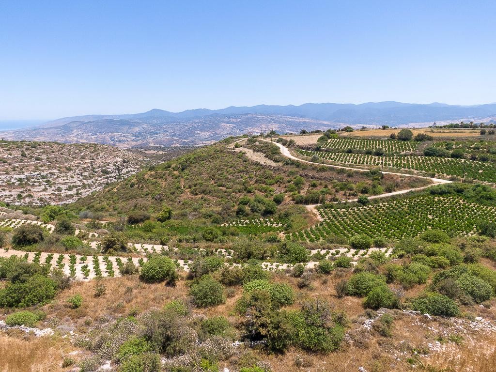 Arodes, Paphos Agricultural Field For Sale | WW30039