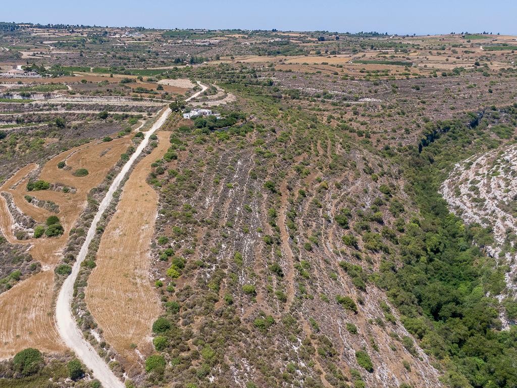 Agricultural Field For Sale  in  Arodes