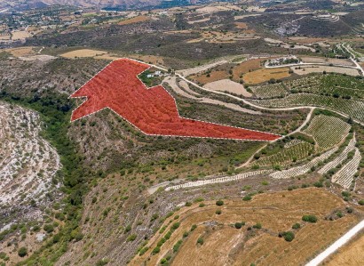 Arodes, Paphos Agricultural Field For Sale | WW30039