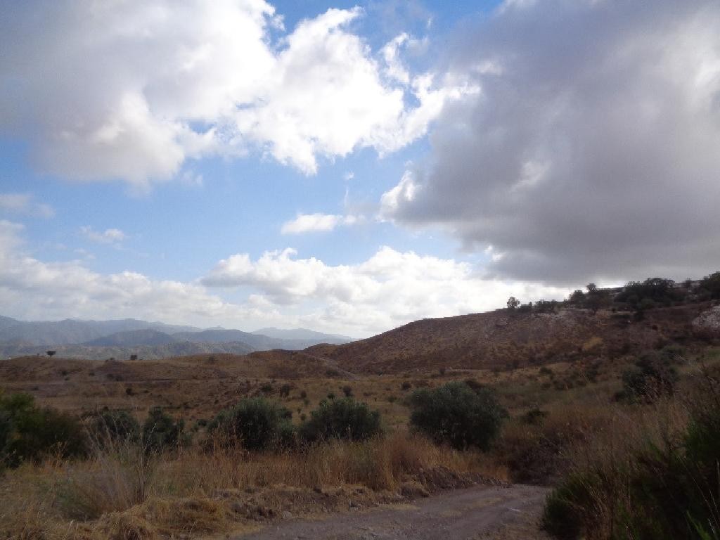 Agricultural Field For Sale  in  Fyti