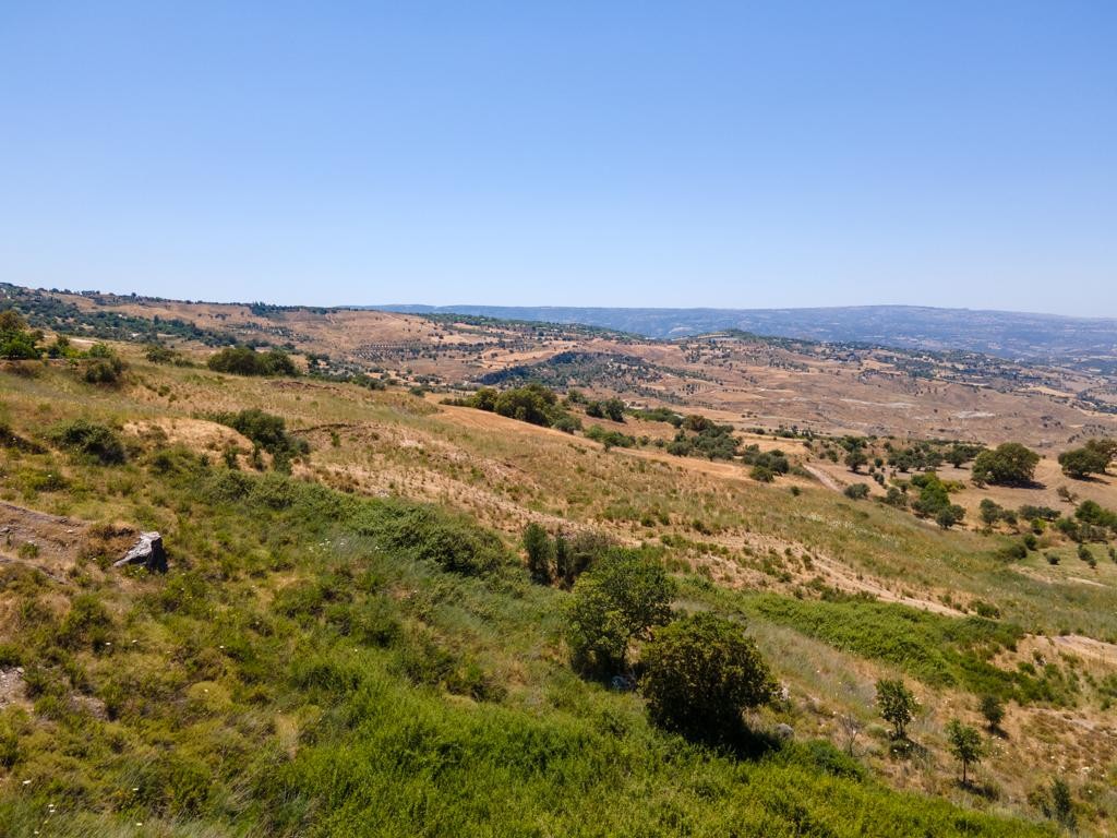 Agricultural Field For Sale  in  Fyti